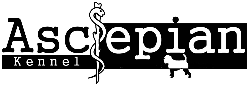 Logga%20Asclepian%20Hemsida%20Version.jpg